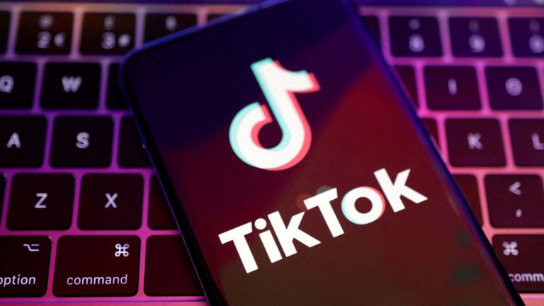 TikTok Users